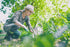 Gardening for stress relief