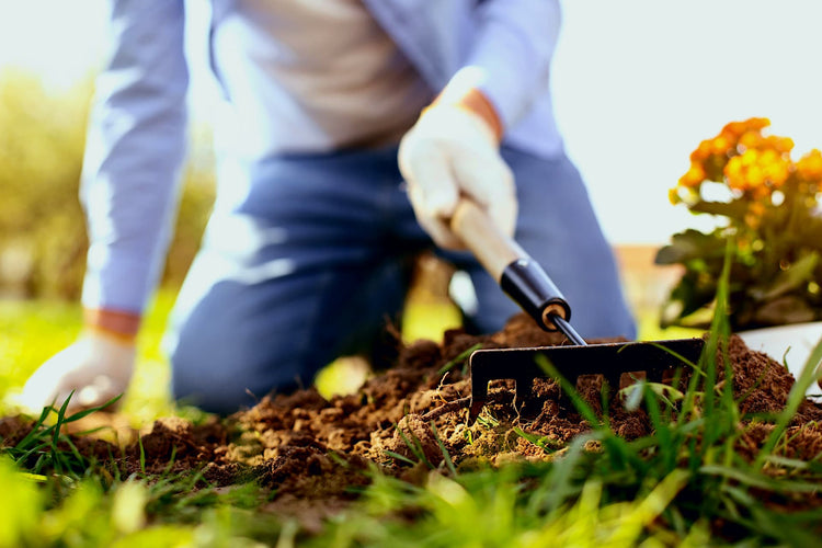 Raking over soil by hand