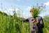 Woman picking flowers