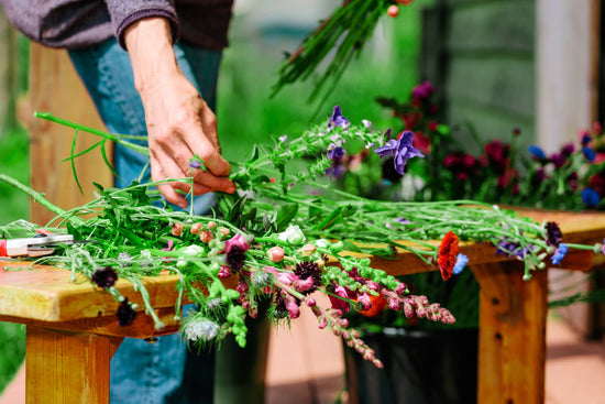 Florists Pick wildflower seed mix