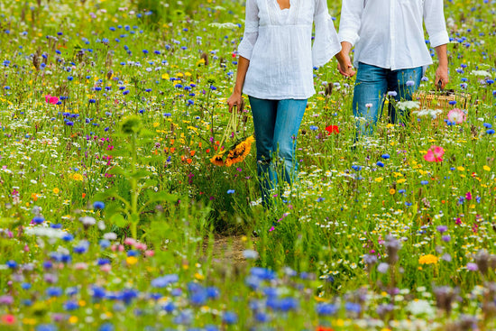Woman and man walking in wildflowers