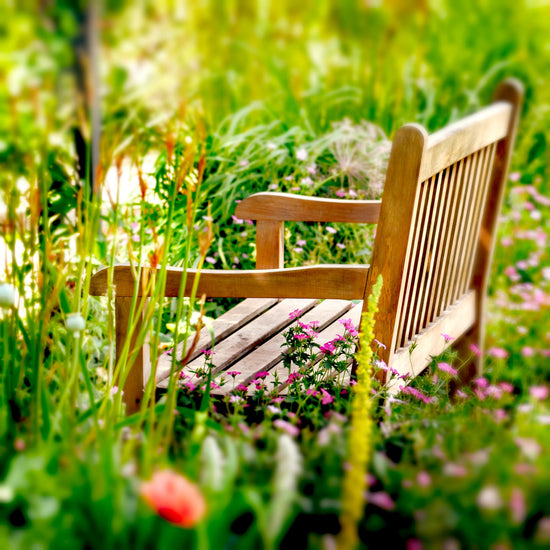 Wildflower garden with bench