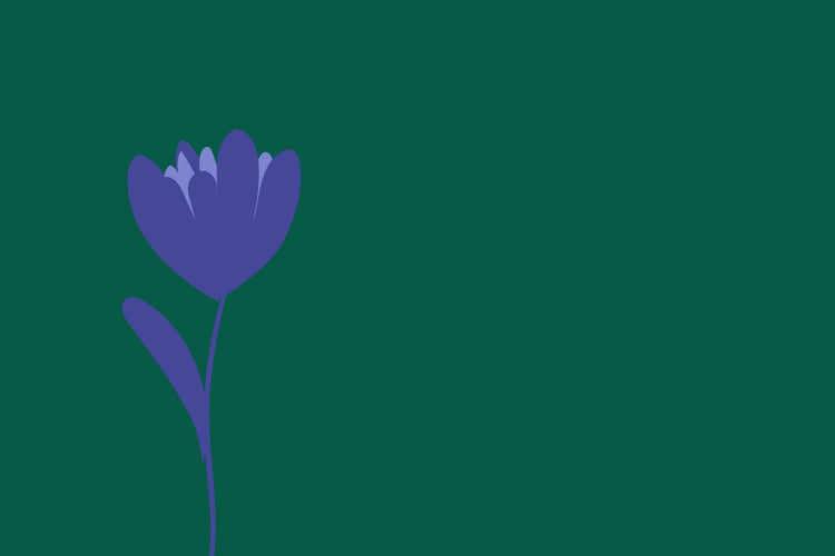 Blue wildflower banner