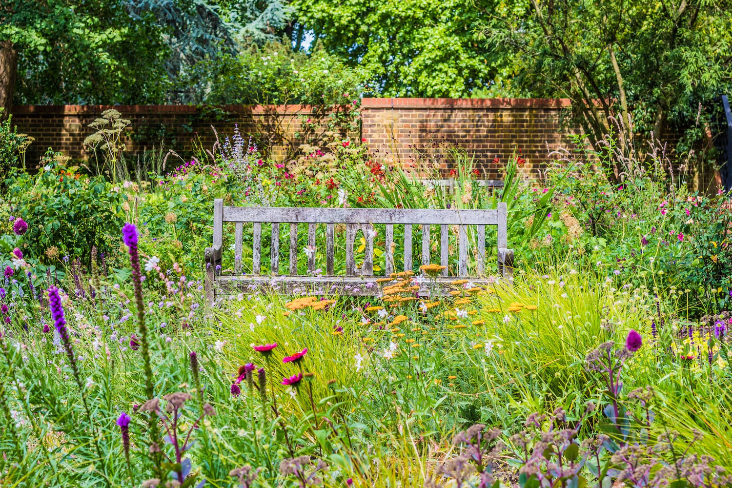 Wildflower garden with bench